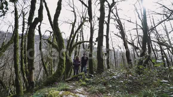 一对年轻夫妇牵着手走在童话森林里前面是风景视频的预览图