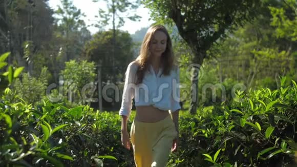 金发女孩在阳光下缓慢地走在茶丛中视频的预览图