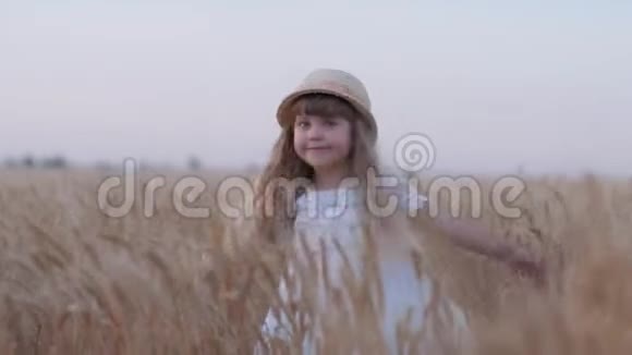 欢乐的乡村童年穿着白色连衣裙和草帽的小可爱女孩旋转着抚摸着收获的燕麦穗视频的预览图