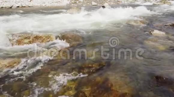 浅河中的水在岩石上流动可见白浪慢动作视频视频的预览图