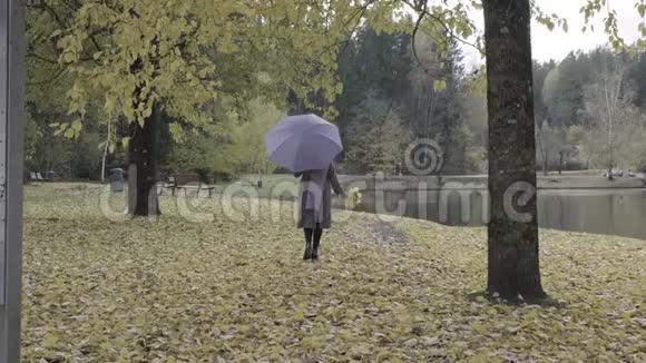 一个悲伤孤独的女人带着紫色的雨伞慢慢地走进秋天的公园视频的预览图