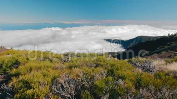 加那利群岛特内里费科罗纳森林自然公园位于云层高空的大片森林视频的预览图