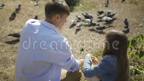 哥哥和他可爱的妹妹在公园里玩得很开心周末或家庭日在公园里喂鸽子视频的预览图