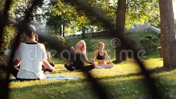 夏季阳光明媚的早晨一群不同年龄的女性在公园里练习瑜伽视频的预览图