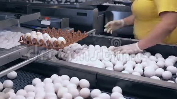 在鸡蛋厂工作的女性视频的预览图