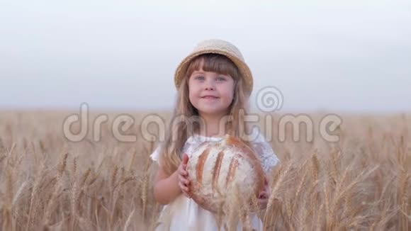 面包种植者小女孩小女孩美丽的头发农民女儿咬着美味的烘焙面包微笑着站在金色的收获视频的预览图
