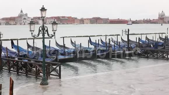 贡多拉斯是威尼斯的典型船只视频的预览图