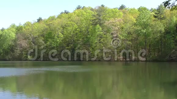 乔治亚堡山湖有树木和倒影动物园视频的预览图
