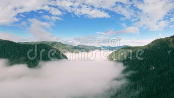 鸟瞰山体景观在充满雾气的山谷上空飞行的人视频的预览图