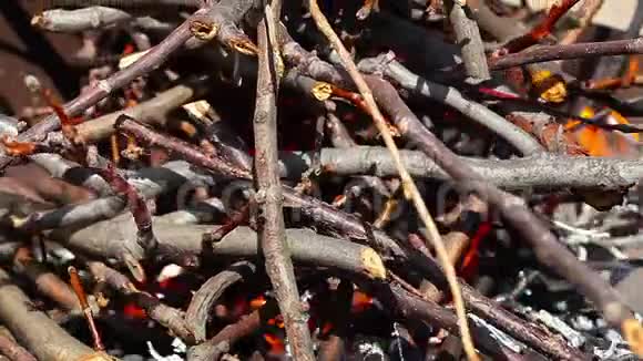 是火时间流逝柴火树枝很快就烧光了视频的预览图