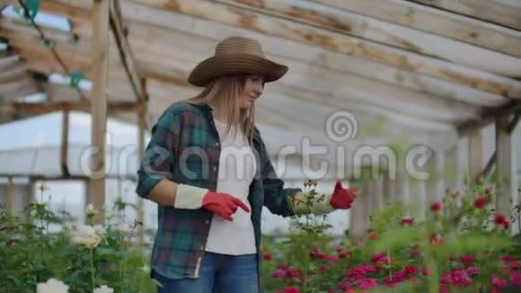 快乐的女人花在温室里人园艺和职业概念幸福的女人带着鲜花视频的预览图