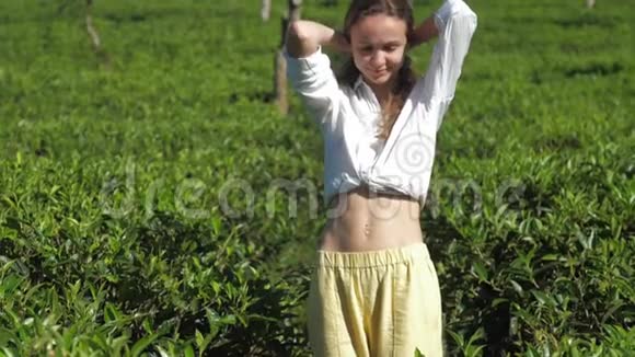 女孩在绿茶丛中调整长发缓慢视频的预览图