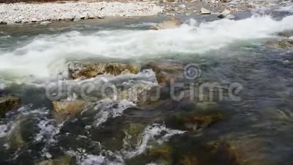泉水在泉水的石头上缓慢流动清澈的小溪中形成白浪视频的预览图
