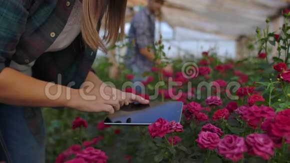 一个拿着平板电脑的女人检查花把手指按在平板电脑屏幕上花卉种植业务视频的预览图