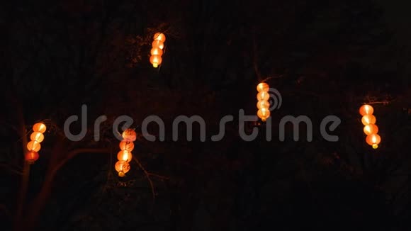 晚上挂在树上的红色中国灯笼中国新年庆典视频的预览图