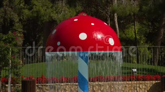 荷兰红菇喷泉游泳池视频的预览图