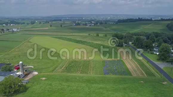 在阳光明媚的夏日观赏农场和农作物的美丽乡村视频的预览图