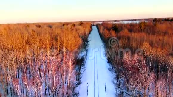 冬天鸟儿飞过温暖的树木和铁路视频的预览图