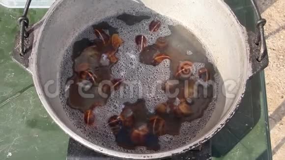 蜗牛是用锅煮的视频的预览图