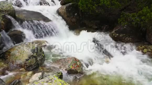 小山溪流在一些地衣覆盖的石头上水在岩石上流动的细节低针叶树背景视频的预览图