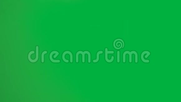 4K一套女性手显示空白的白色名片纸隔离在色度键绿色屏幕背景上视频的预览图