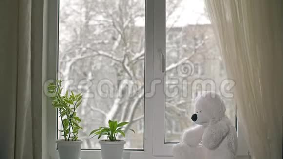 窗台上的玩具熊视频的预览图