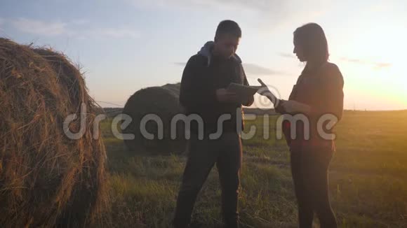 农民团队站在农场现场用技术预测未来的农业增长视频的预览图
