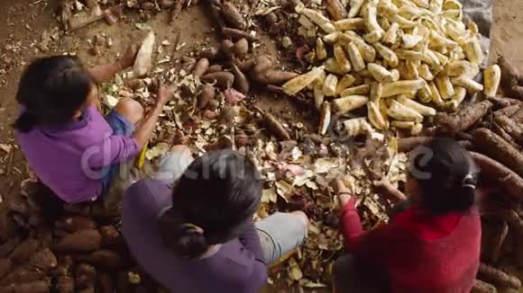 亚马孙雨林中剥去尤卡的土著妇女群体视频的预览图