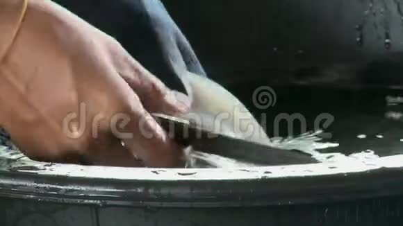 一个工人用刀子切生鱼视频的预览图