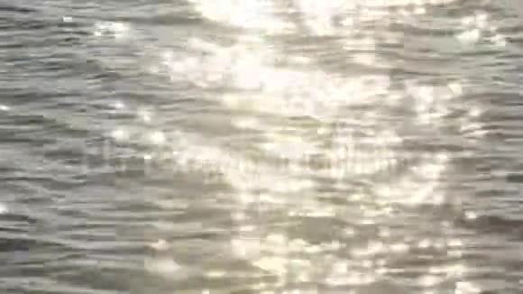 阳光反射在湖水中视频的预览图