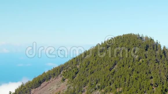滑翔伞飞越美丽的山山峰和森林在美丽的云层之上飞行视频的预览图