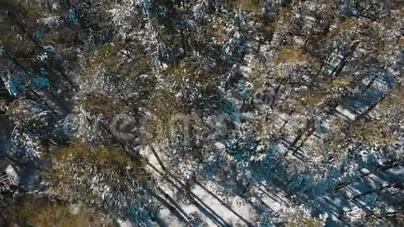 空中顶部下降冬季季节雪最佳空中射击令人叹为观止的自然景观冻结的森林视频的预览图