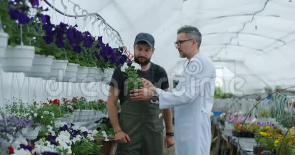 两个人在温室的盆栽中视频的预览图