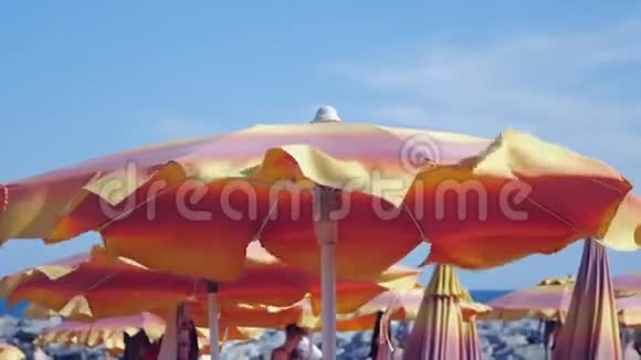 海滩上的雨伞视频的预览图