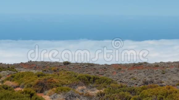 高山景观无边无际的天空在云层之上多种沙漠植物原始自然的概念视频的预览图