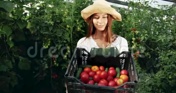 微笑的女人在温室里抱着盒子番茄视频的预览图