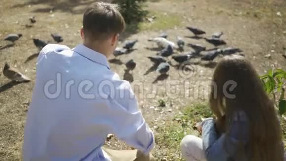 小男孩和他可爱的小妹妹在公园里玩得开心周末或家庭日在公园里喂鸽子视频的预览图