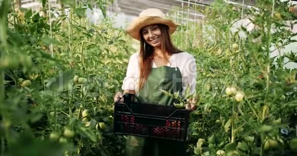 微笑的女人拿着番茄盒子视频的预览图