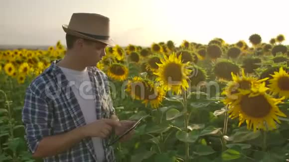 3夏天那个男人在田里种向日葵视频的预览图