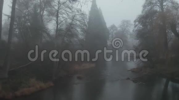 4k空中飞弹穿越雾气越过环绕树木的诡异河流视频的预览图