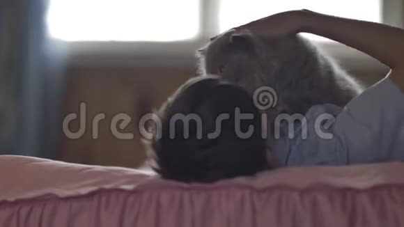 躺在床上抚摸一只英国猫的男孩视频的预览图
