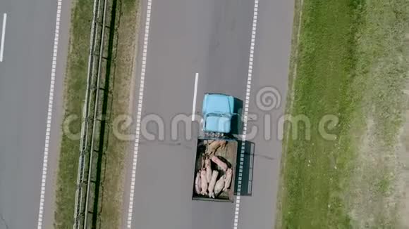 一辆载着猪的卡车公路穿过田野和树木视频的预览图