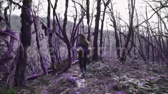 紫罗兰童话森林女孩正走在童话森林里的小路上她跳过倒下的树视频的预览图