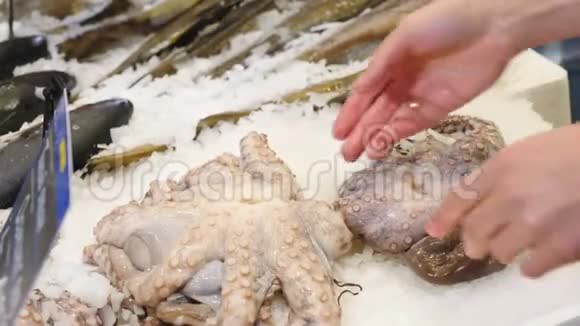 市场上的新鲜海鲜女性手拿着生章鱼在商店货架附近与碎冰海鲜鱼市场视频的预览图