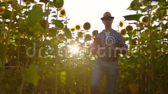 现代农民带着平板电脑在日落时学习向日葵保存农场的记录互联网视频的预览图