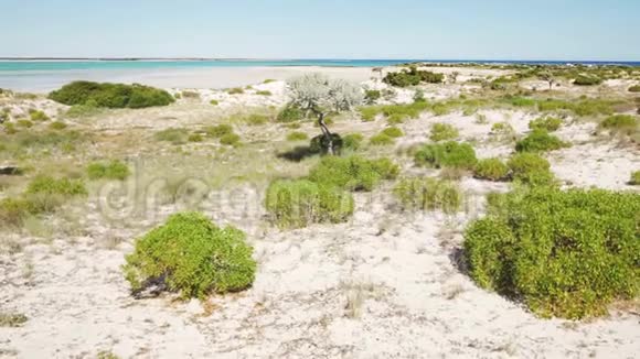 马达加斯加阿那考附近海滩上覆盖着小灌木清澈的大海和天空视频的预览图