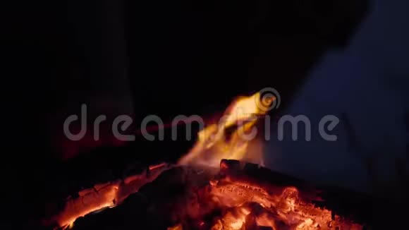 不认识的人在海边玩篝火生火做香肠在舒适的夏天晚上聊天视频的预览图