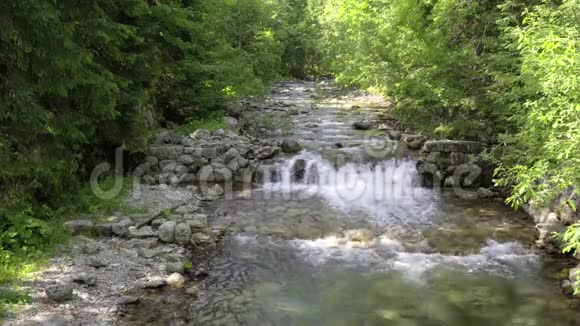 清澈的水流在森林小溪的石阶上流淌阳光照耀着树木的侧面和背景视频的预览图