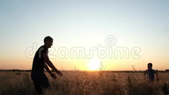 日落时一位年轻的父亲抓住他的儿子在田野里奔跑视频的预览图