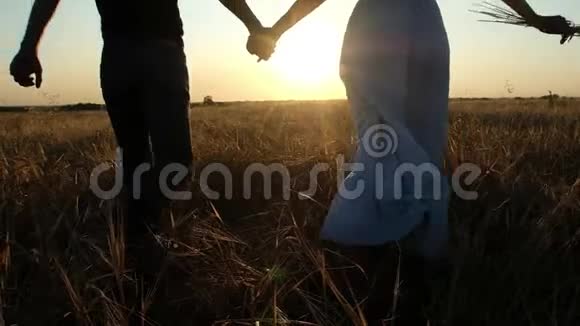 一个男人和一个女人在一个五彩缤纷的夏天日落时穿过麦田视频的预览图